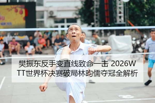 樊振东反手变直线致命一击 2026WTT世界杯决赛破局林昀儒夺冠全解析